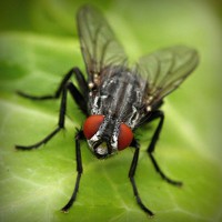 /album/%e1%ba%bfch-bi%e1%ba%bft-%c4%91i/photolia-a01-jpg/