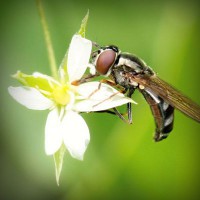 /album/%e1%ba%bfch-bi%e1%ba%bft-%c4%91i/photolia-a02-jpg/