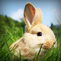 /album/%e1%ba%bfch-bi%e1%ba%bft-%c4%91i/photolia-a03-jpg/