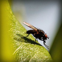 /album/%e1%ba%bfch-bi%e1%ba%bft-%c4%91i/photolia-a04-jpg/