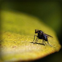 /album/%e1%ba%bfch-bi%e1%ba%bft-%c4%91i/photolia-a07-jpg/